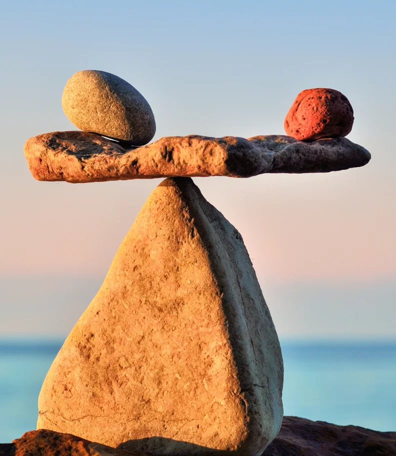 wellness care in Raleigh NC